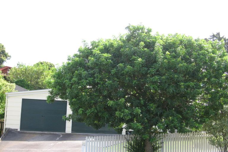 Photo of property in 69 Nigel Road, Browns Bay, Auckland, 0630