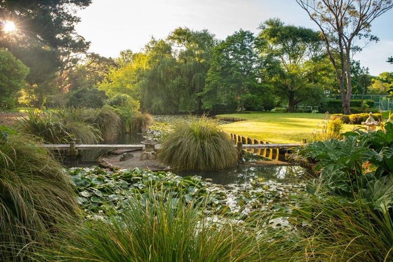 Photo of property in 14a Puriri Road, Waikanae, 5036