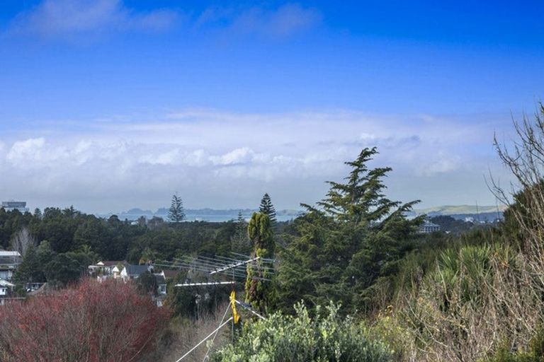 Photo of property in 46 Mountbatten Avenue, Hillcrest, Auckland, 0627