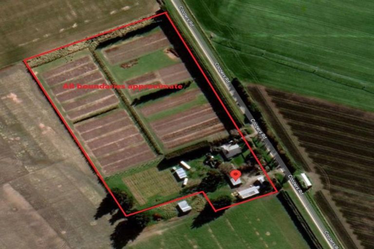 Photo of property in 63 Coopers Road, Leeston, 7682