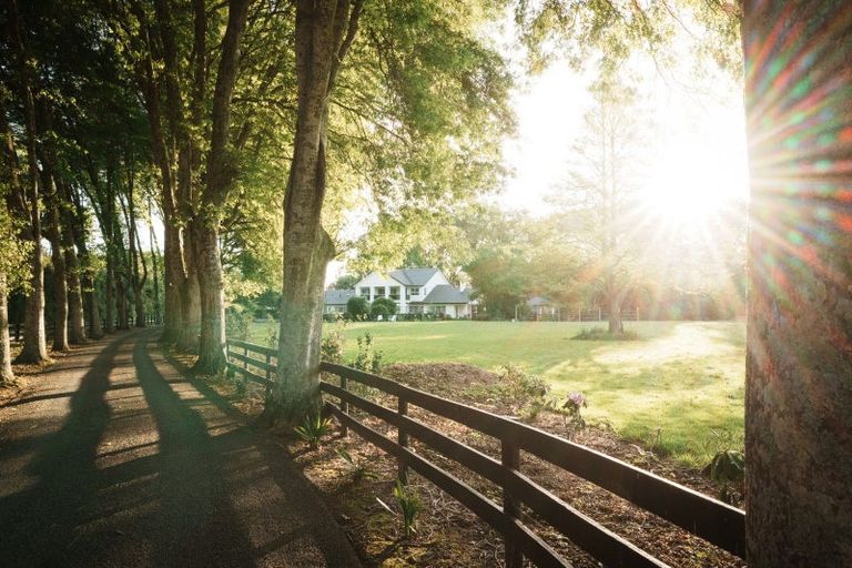 Photo of property in 53 Poplar Lane, Matangi, Hamilton, 3284