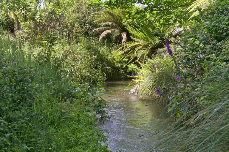 Photo of property in 189 Tiverton Downs Road, Broadlands, Reporoa, 3081