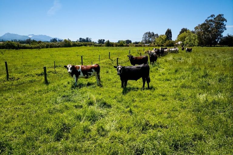 Photo of property in 122 Mill Road, Kaikoura Flat, Kaikoura, 7300