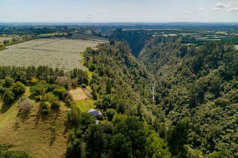 Photo of property in 827 No 1 Road, Te Ranga, Te Puke, 3182