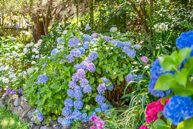 Photo of property in 162 Murphys Road, Judgeford, Porirua, 5381