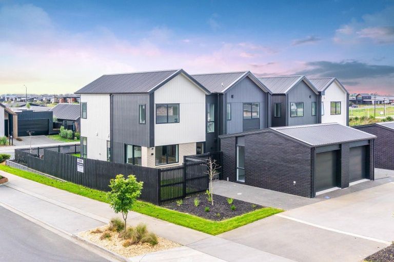 Photo of property in 44 Musselwhite Terrace, Chartwell, 3210