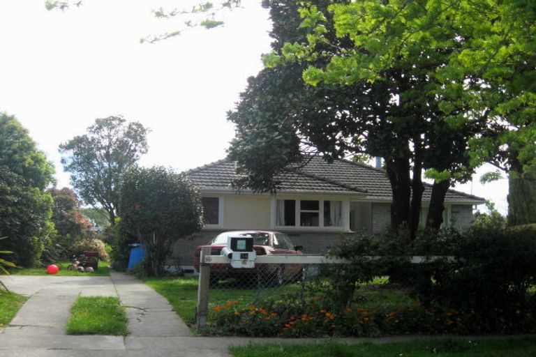 Photo of property in 34 Leefield Street, Blenheim, 7201