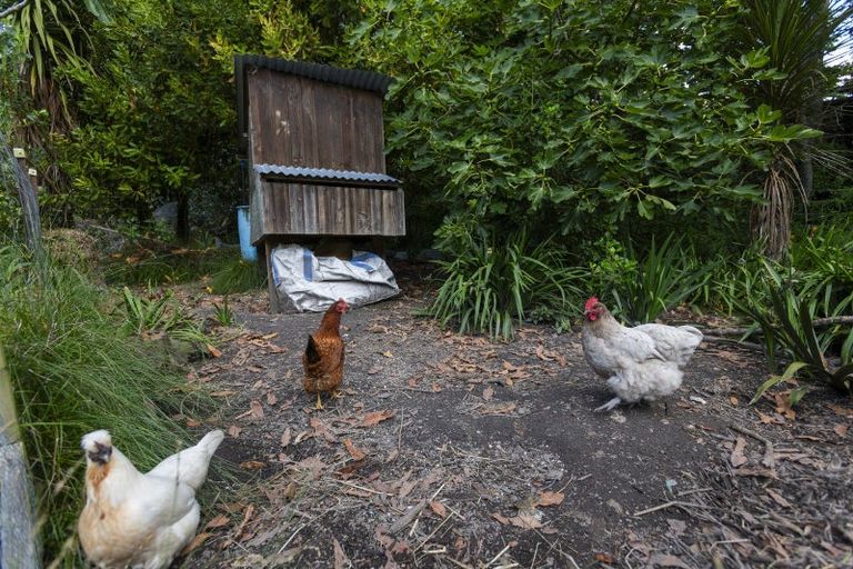 Photo of property in 15 Adams Road, Whataupoko, Gisborne, 4010