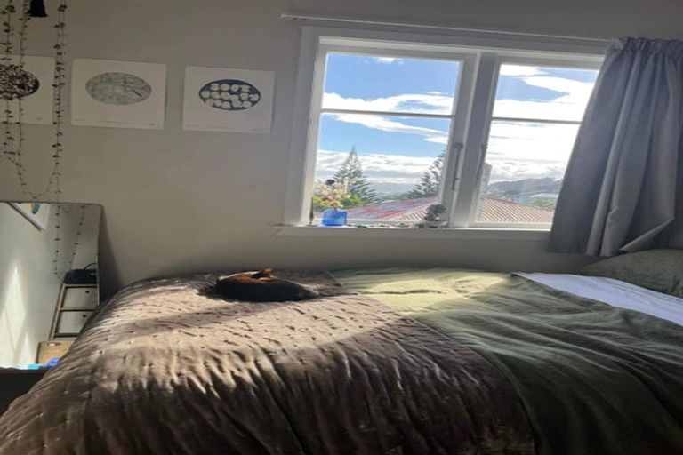 Photo of property in 182 Hanson Street, Newtown, Wellington, 6021