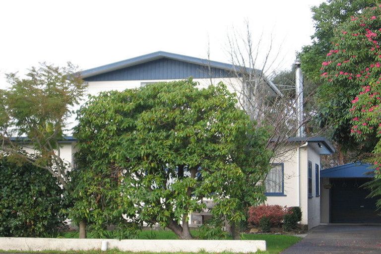 Photo of property in 428 Ruahine Street, Terrace End, Palmerston North, 4410
