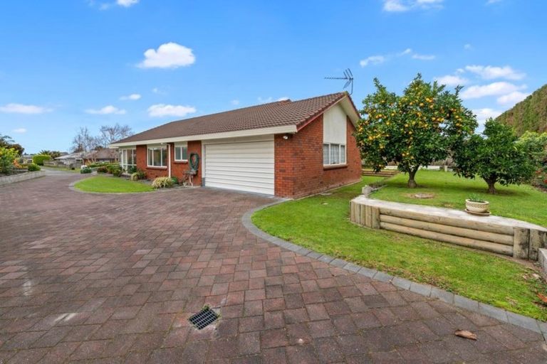 Photo of property in 32 Bayfair Drive, Mount Maunganui, 3116