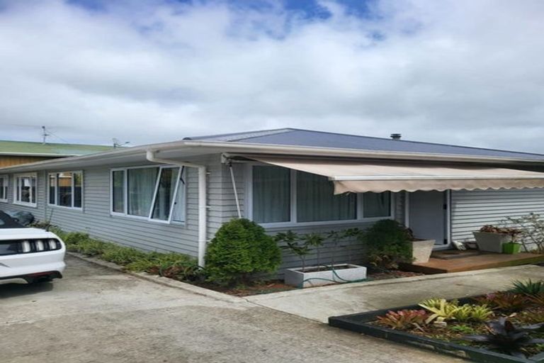 Photo of property in 64 Tudor Road, Henderson, Auckland, 0610