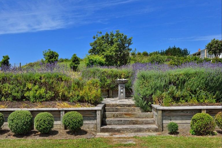 Photo of property in 225 Mahia East Coast Road, Mahia, 4198