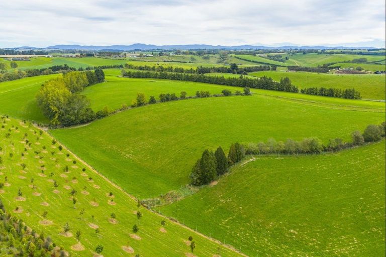 Photo of property in 234 Spur Road, Hadlow, Timaru, 7975