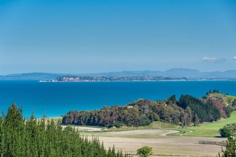 Photo of property in State Highway 2, Tangoio, Napier, 4182