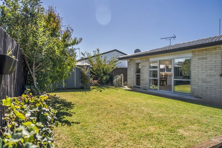 Photo of property in 38 Leander Street, Mount Maunganui, 3116