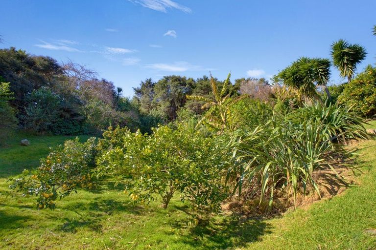 Photo of property in 9 Ohuka Place, Whitianga, 3510