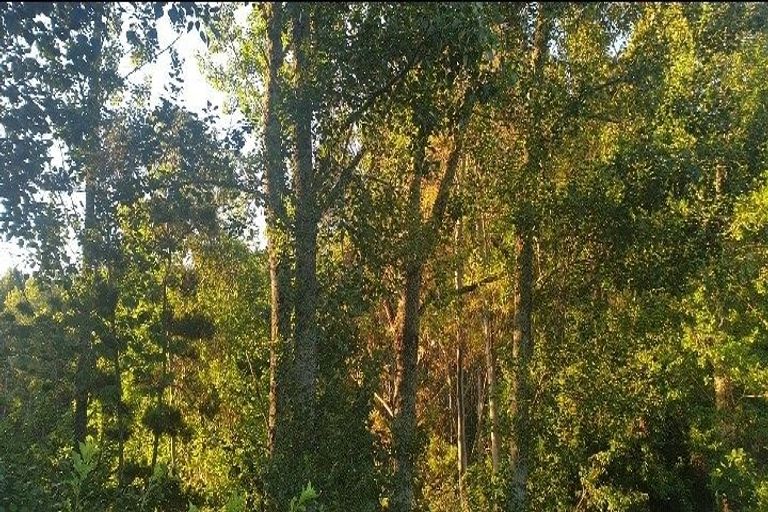 Photo of property in 34 Hinemotu Avenue, Kawerau, 3127