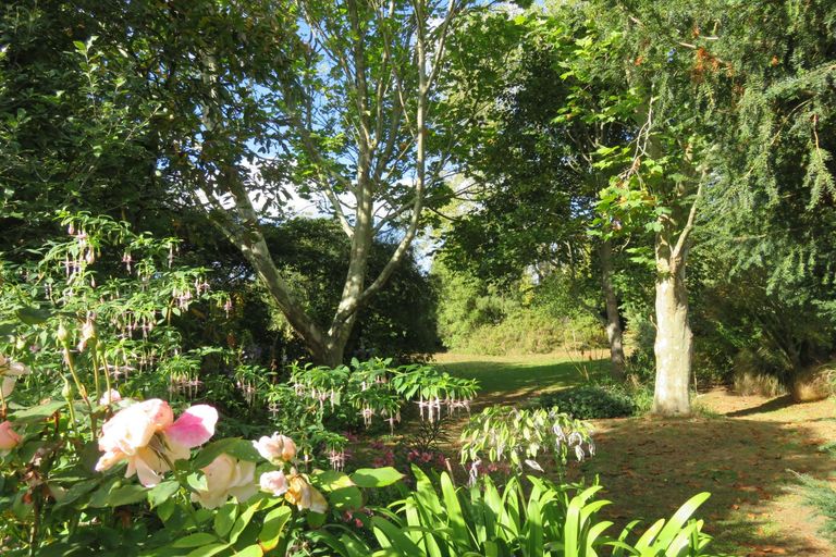 Photo of property in 74 Springfield Road, Temuka, 7920