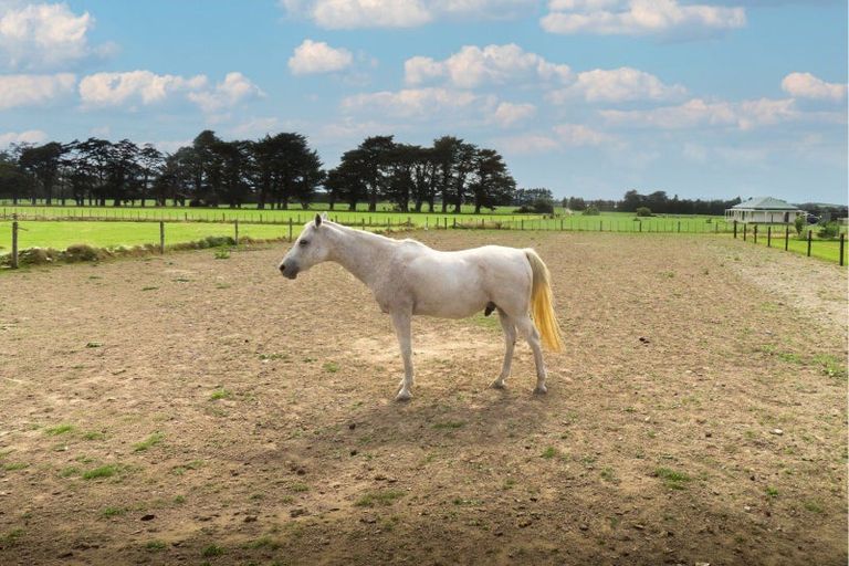 Photo of property in 490 Maharahara Road, Dannevirke, 4972