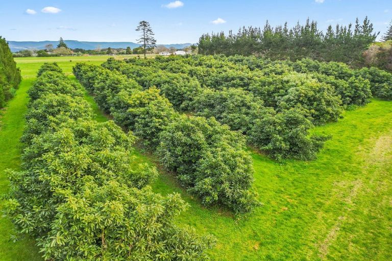 Photo of property in 4790 State Highway 12, Kaikohe, 0473