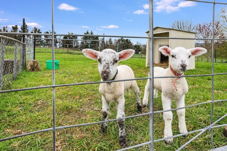 Photo of property in 420 Mangatangi Road, Mangatangi, Pokeno, 2473