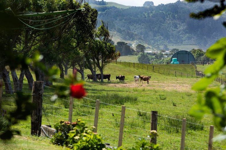 Photo of property in 105 Emerton Road, Athenree, Katikati, 3177