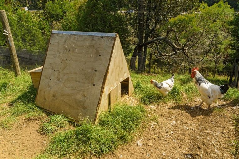 Photo of property in 6c Mclaren Falls Road, Lower Kaimai, Tauranga, 3171