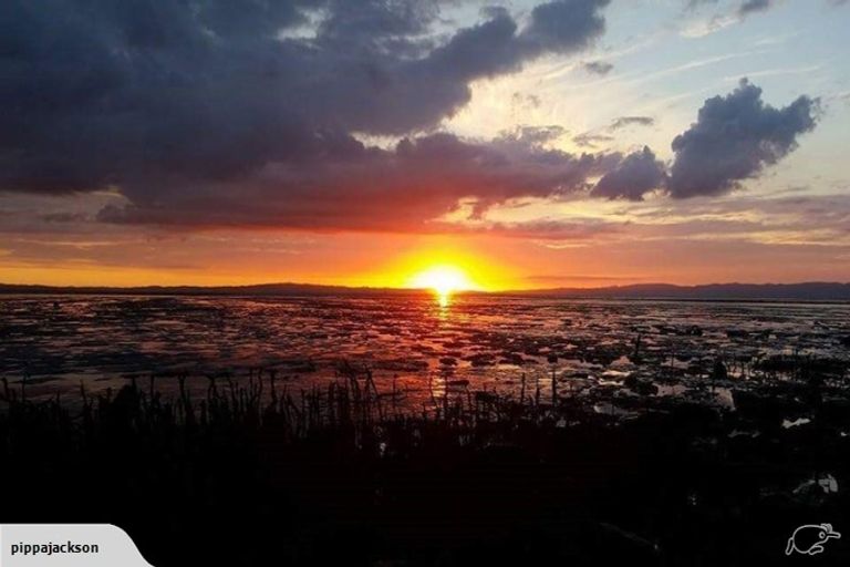 Photo of property in 414 Brown Street, Thames, 3500