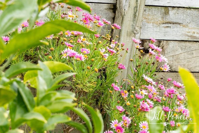 Photo of property in 13 View Street, Maungaturoto, 0520