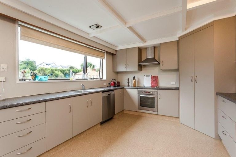 Photo of property in 36 Littlebourne Road, Roslyn, Dunedin, 9010