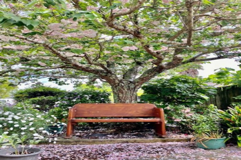 Photo of property in 15 Jacinda Close, Pyes Pa, Tauranga, 3112