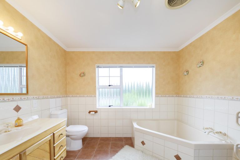 Photo of property in 46 Ruffs Road, Bunnythorpe, Feilding, 4775