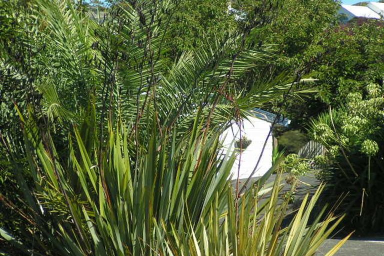 Photo of property in 7 Council Terrace, Northcote Point, Auckland, 0627