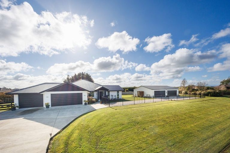 Photo of property in 28 Wapiti Avenue, Feilding, 4775