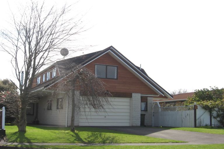 Photo of property in 19 Downes Avenue, Springvale, Whanganui, 4501