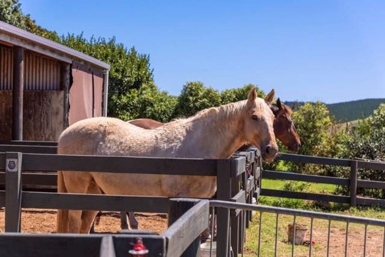 Photo of property in 135b Hutchinson Road, Helensville, 0875