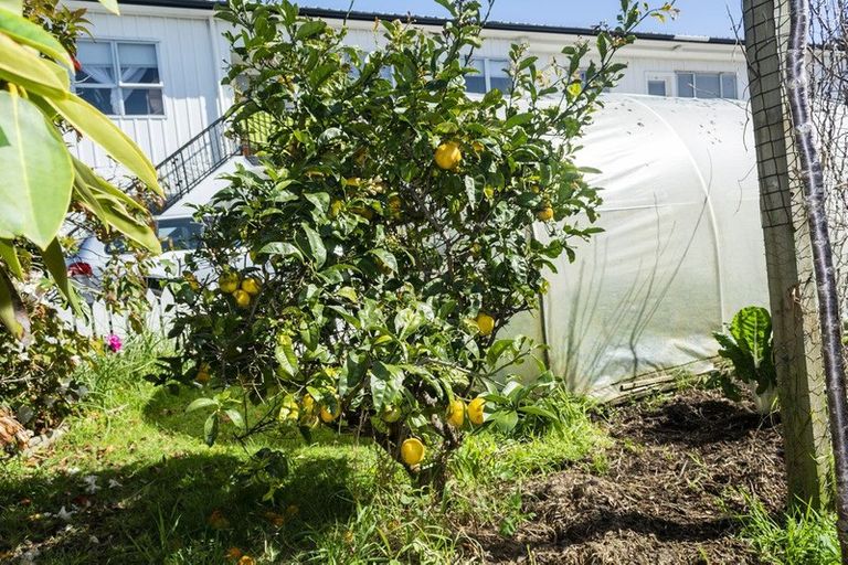 Photo of property in 2/353 Saint Aubyn, Moturoa, New Plymouth, 4310