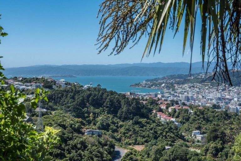 Photo of property in 11 Highbury Crescent, Highbury, Wellington, 6012