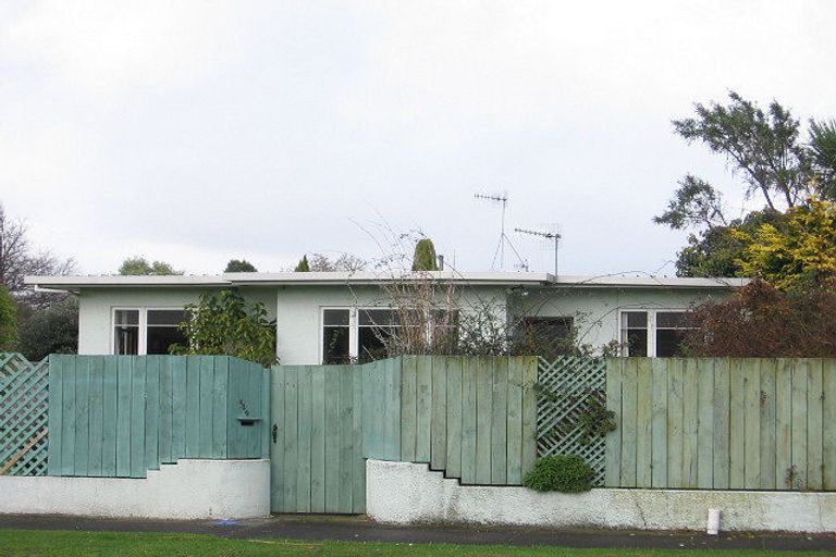 Photo of property in 432 Ruahine Street, Terrace End, Palmerston North, 4410
