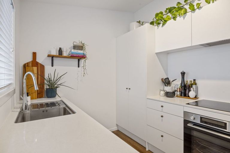 Photo of property in 251a Courtenay Street, Strandon, New Plymouth, 4312