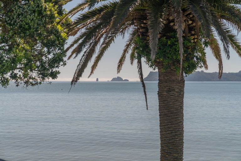 Photo of property in 115 Buffalo Beach Sh25 Road, Whitianga, 3510