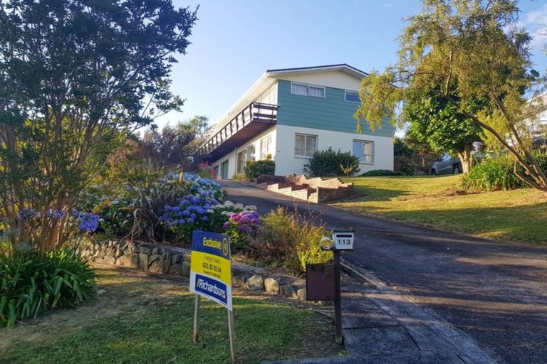 Photo of property in 113 Brunton Crescent, Thames, 3500