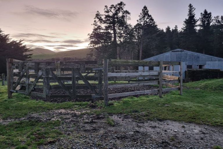 Photo of property in 98 Fosters Road, Cheviot, 7383