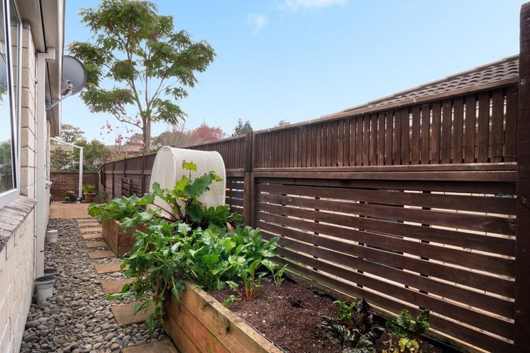 Photo of property in 1 Darraghs Lane, Brookfield, Tauranga, 3110