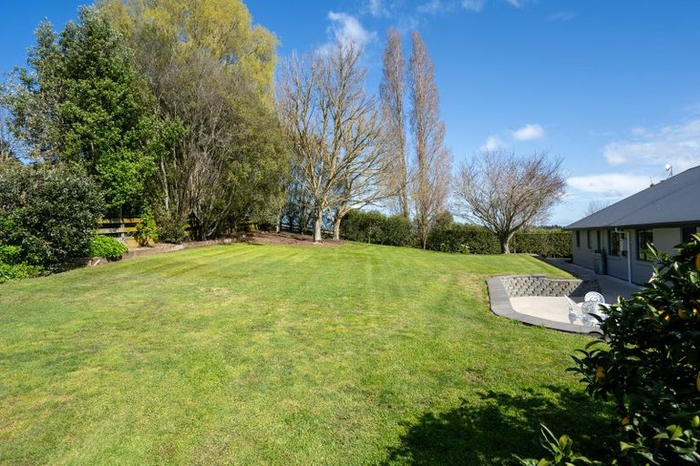 Photo of property in 80 Maungakawa Road, Cambridge, 3496