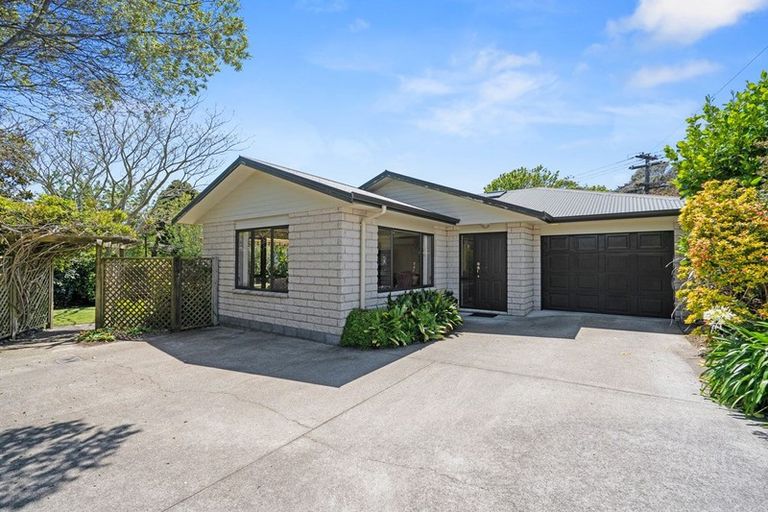 Photo of property in 230 Tukapa Street, Westown, New Plymouth, 4310