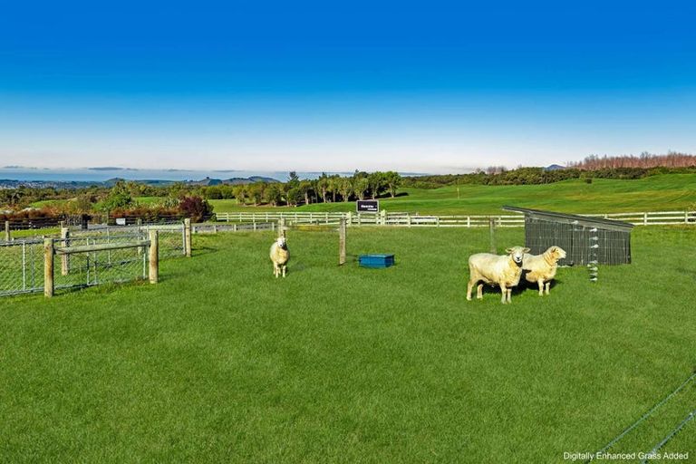 Photo of property in 72a Koura Bay Drive, Hapuku, Kaikoura, 7371