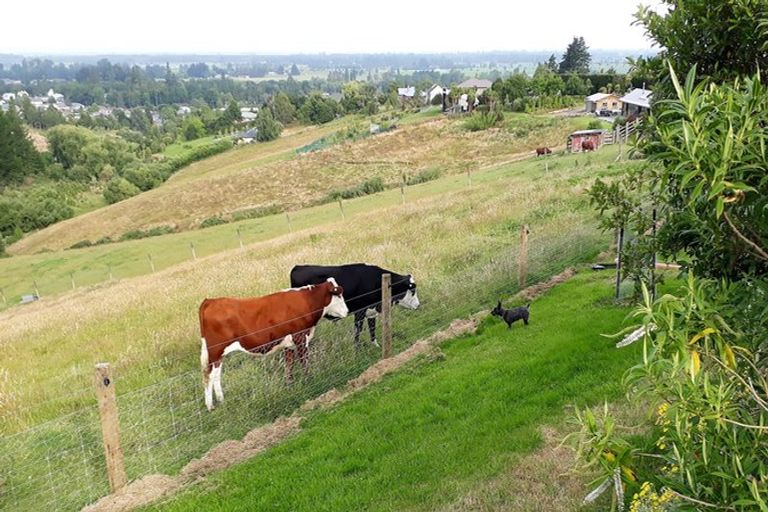 Photo of property in 38 Downs Road, Geraldine, 7991