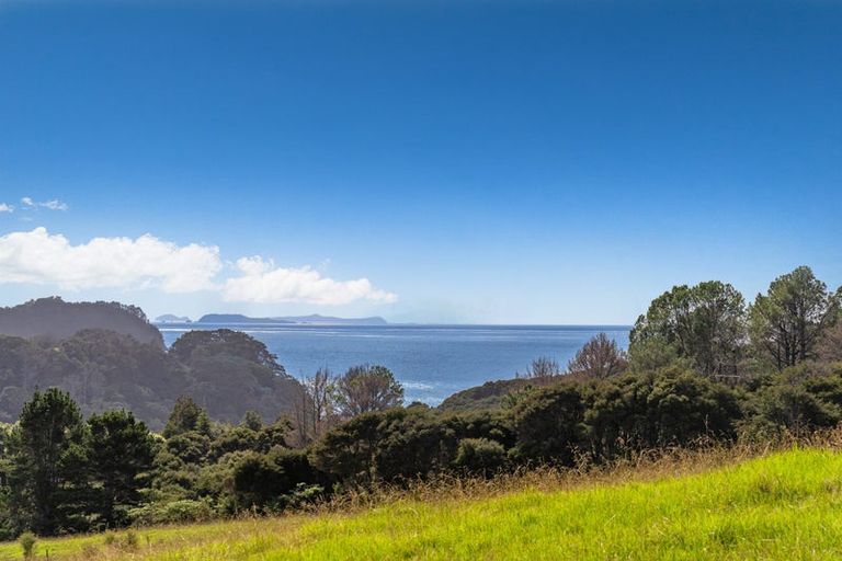 Photo of property in 425n Boat Harbour Road, Whenuakite, Whitianga, 3591